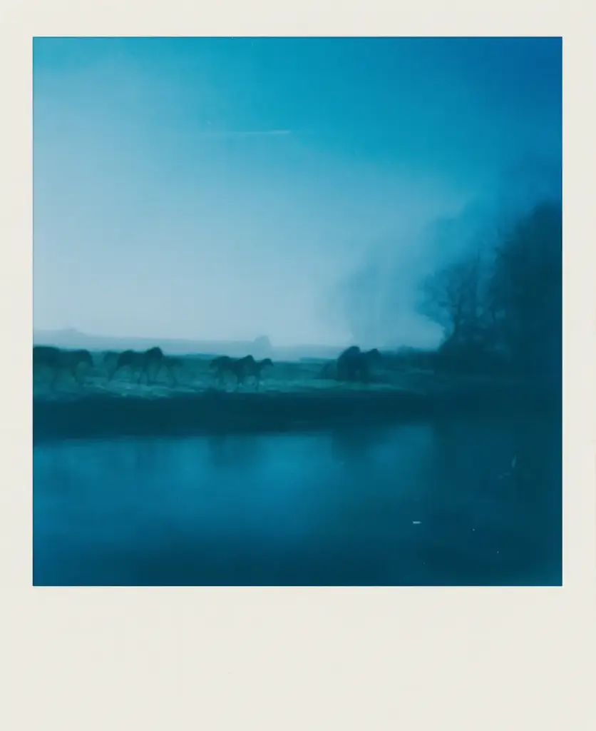 Nature #3