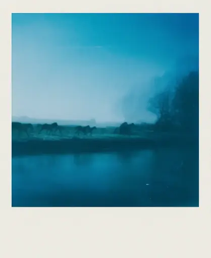 Nature #3